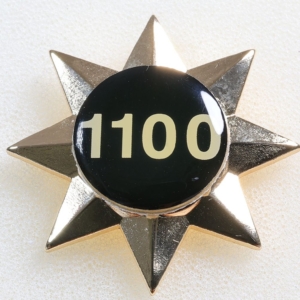 A006 - Australian Star 1100 insert