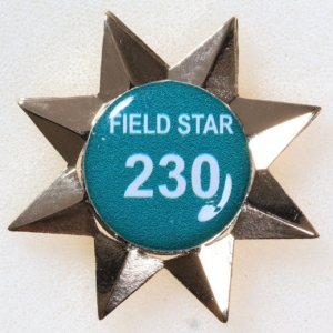 A054L - Australian Field Star 230 insert (Longbow)