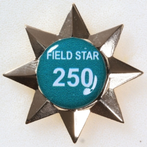 A056L - Australian Field Star 250 insert (Longbow)