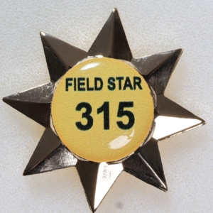 A032 - Australian Field Star 315 insert (Recurve)